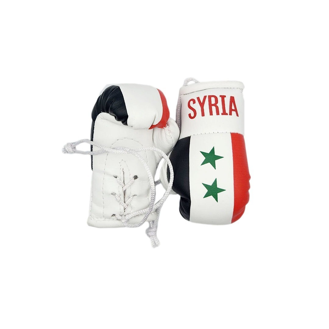 Syria Syrian Flag Mini Boxing gloves for cars and trucks