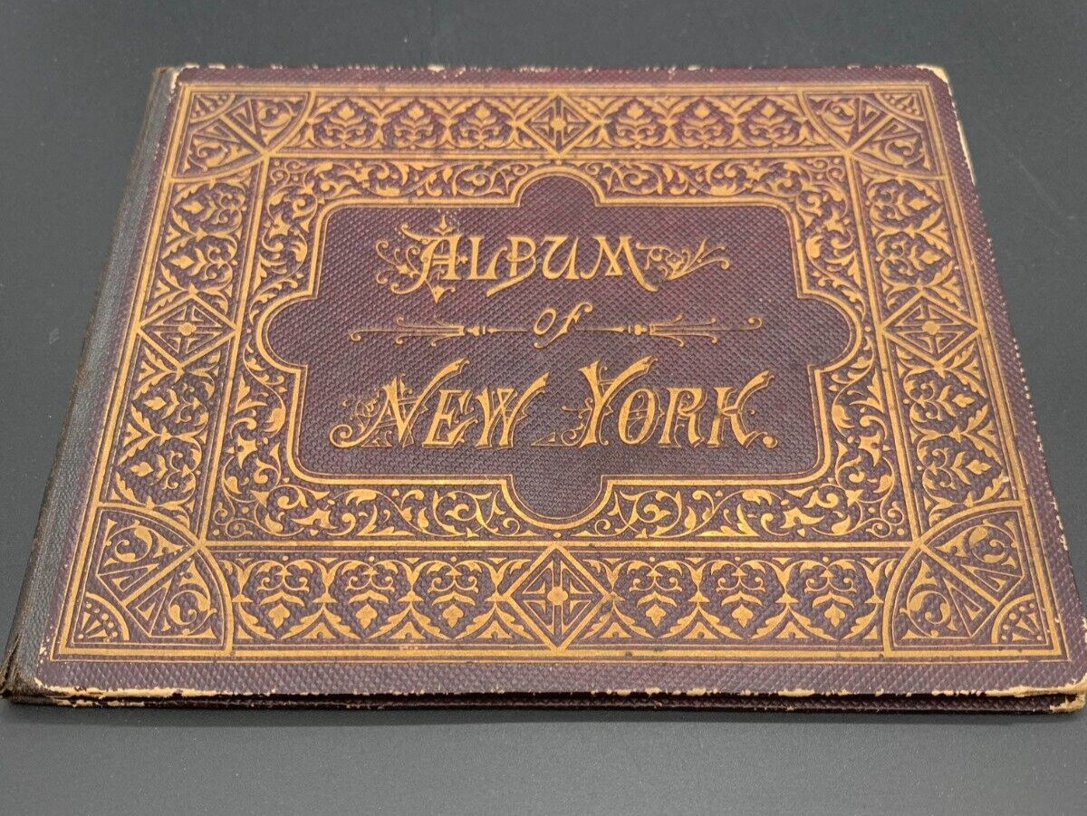 NEW YORK CITY Manhattan 1895 Souvenir View Album Street Scenes WALL Street NYC