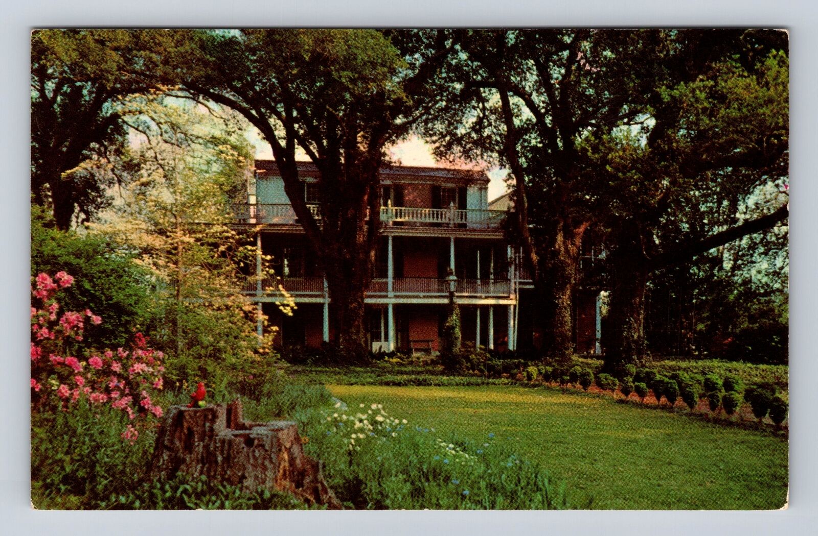 Natchez MS-Mississippi, The Elms, Vintage Souvenir Postcard