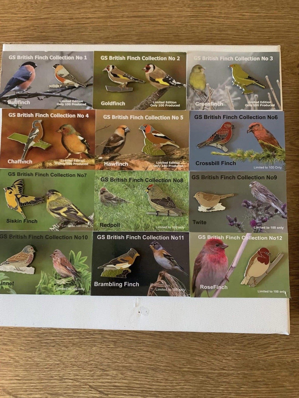None RSPB Badges GS Collection 12 x British finch collection & backing cards