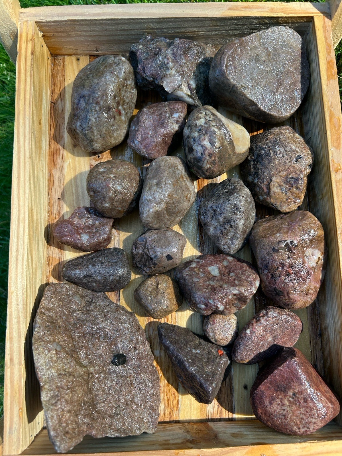 11 Pound All Purple Michigan Puddingstone Jasper Quartzite Variety Lot New