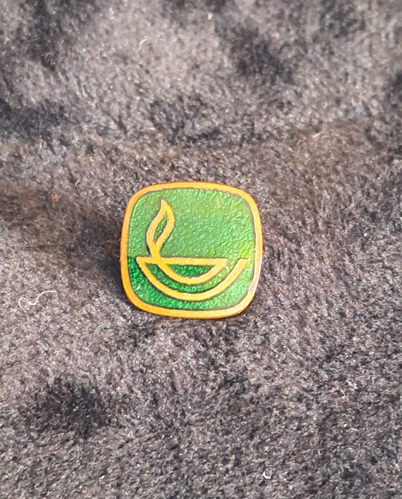 Vintage Scripture Union Religious Enamel Pin Badge Brooch 