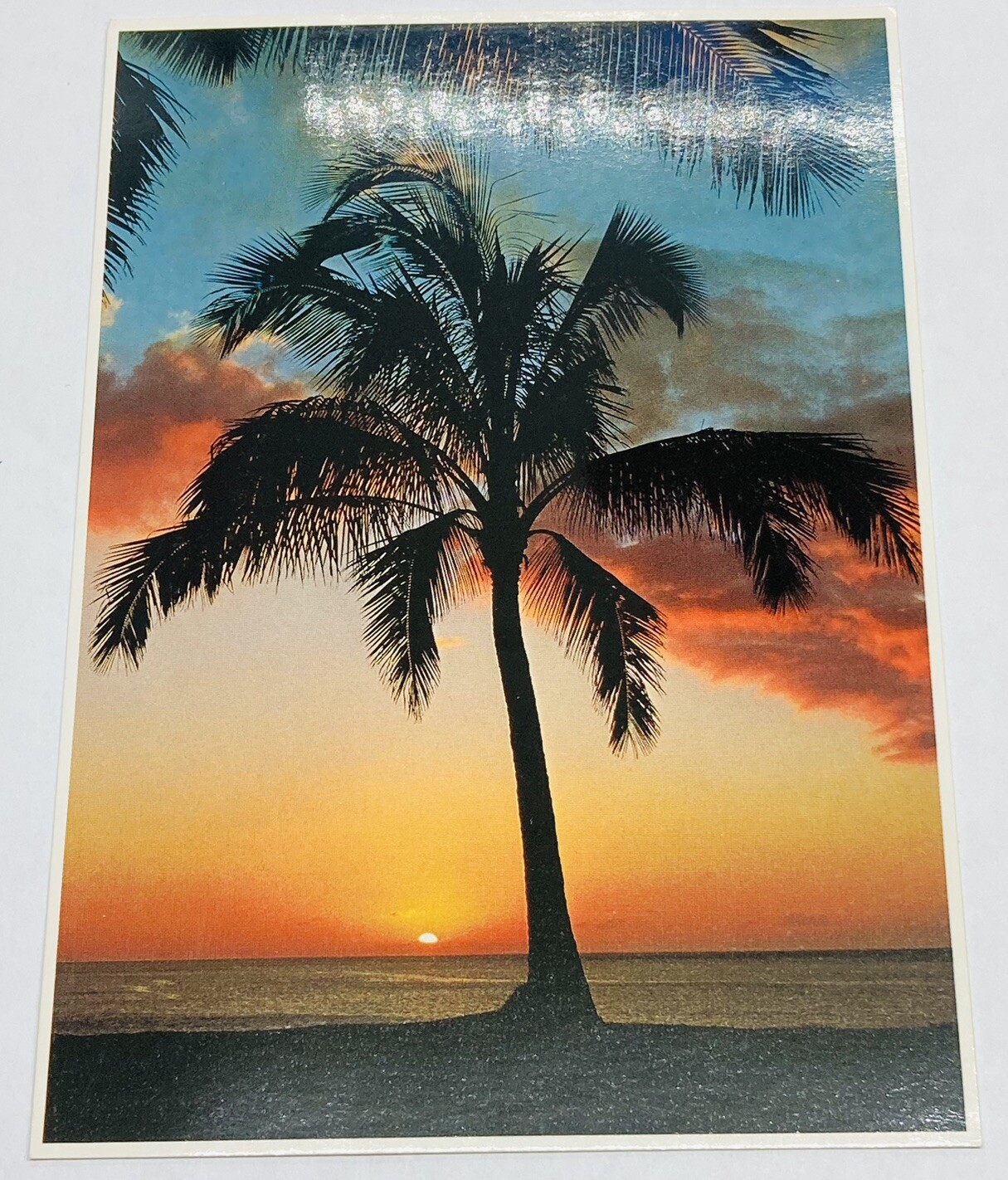 Vintage 1977 Impact Postcard Sunset Moods John Wagner Hawaii Palm Tree Photo P2