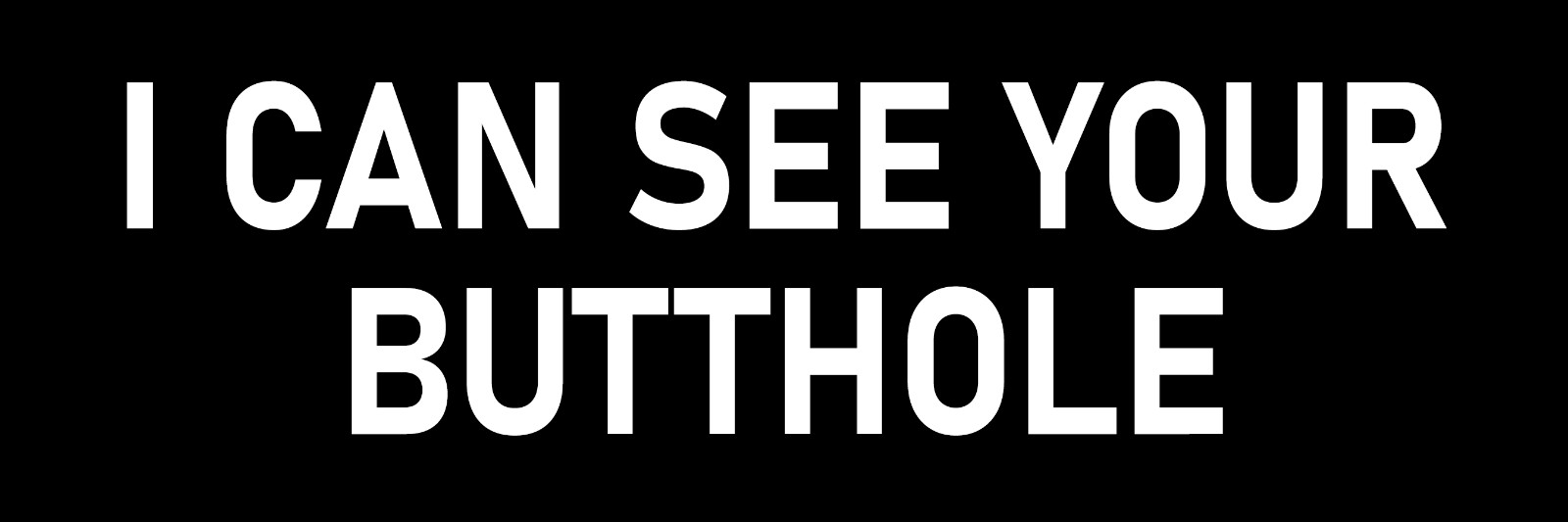 I Can See Your Butthole Sticker Funny Car Sticker Joke Gag Prank Gift Gay