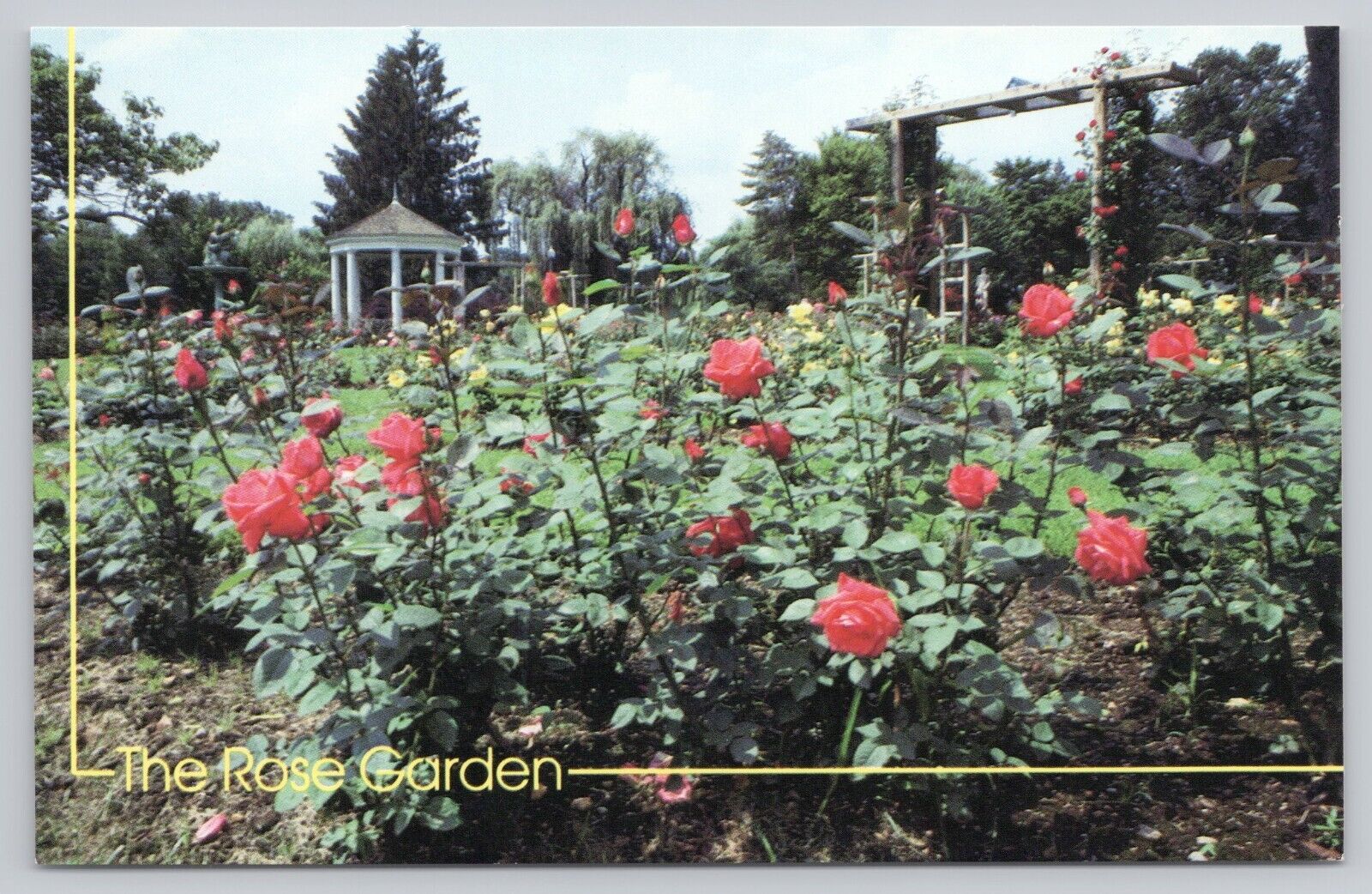 Allentown Pennsylvania, The Rose Garden, Vintage Postcard