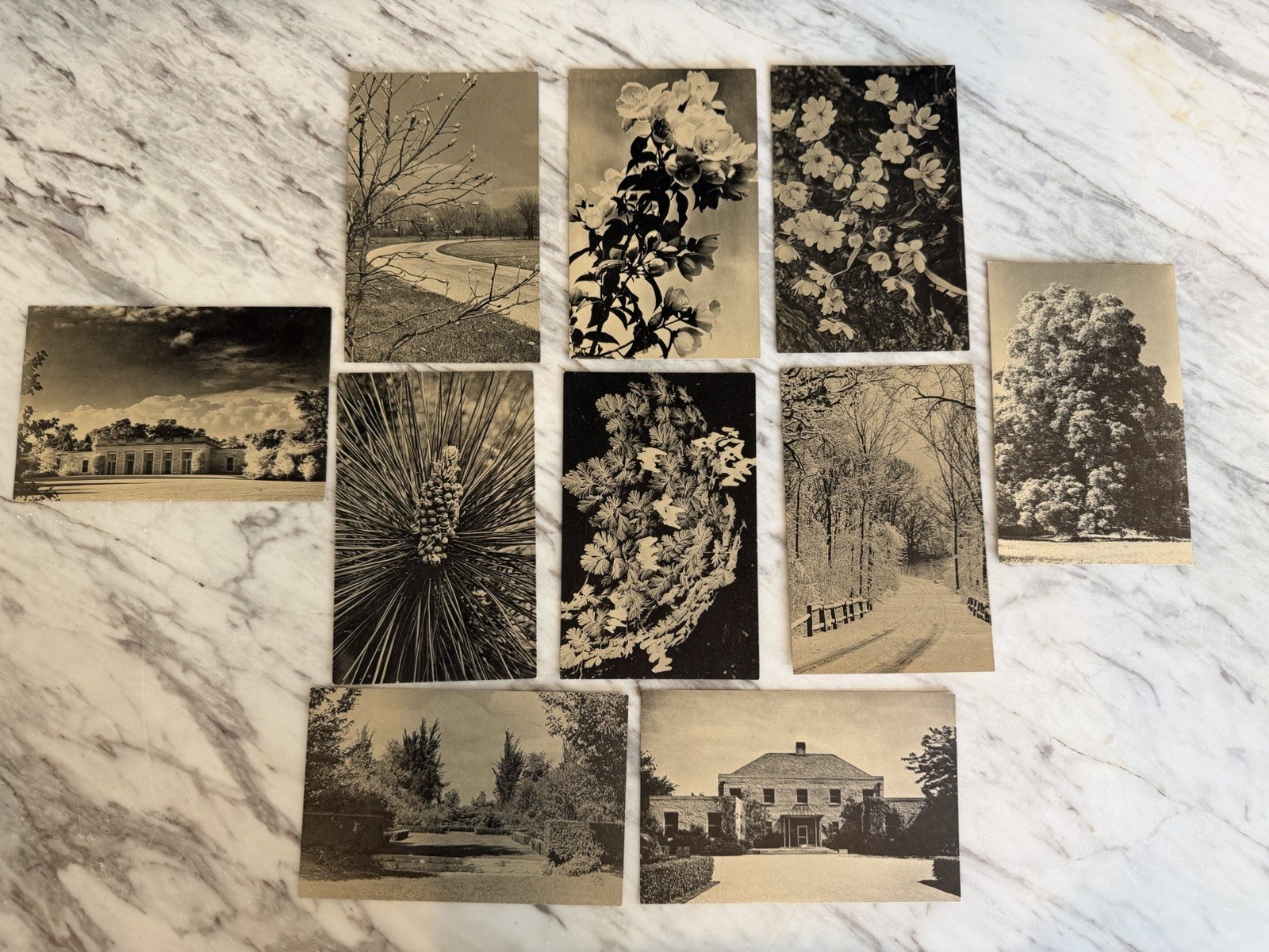 Vtg Morton Arboretum Postcards Lot (10) – Illinois c. 1915–1930