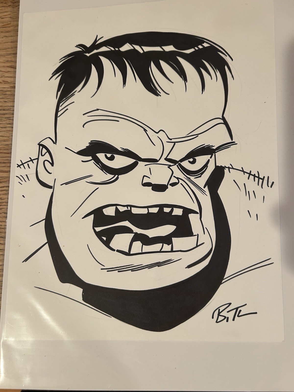 Bruce Timm Rare Original Art (Marvel) Hulk Head Sketch Signed By The Artist