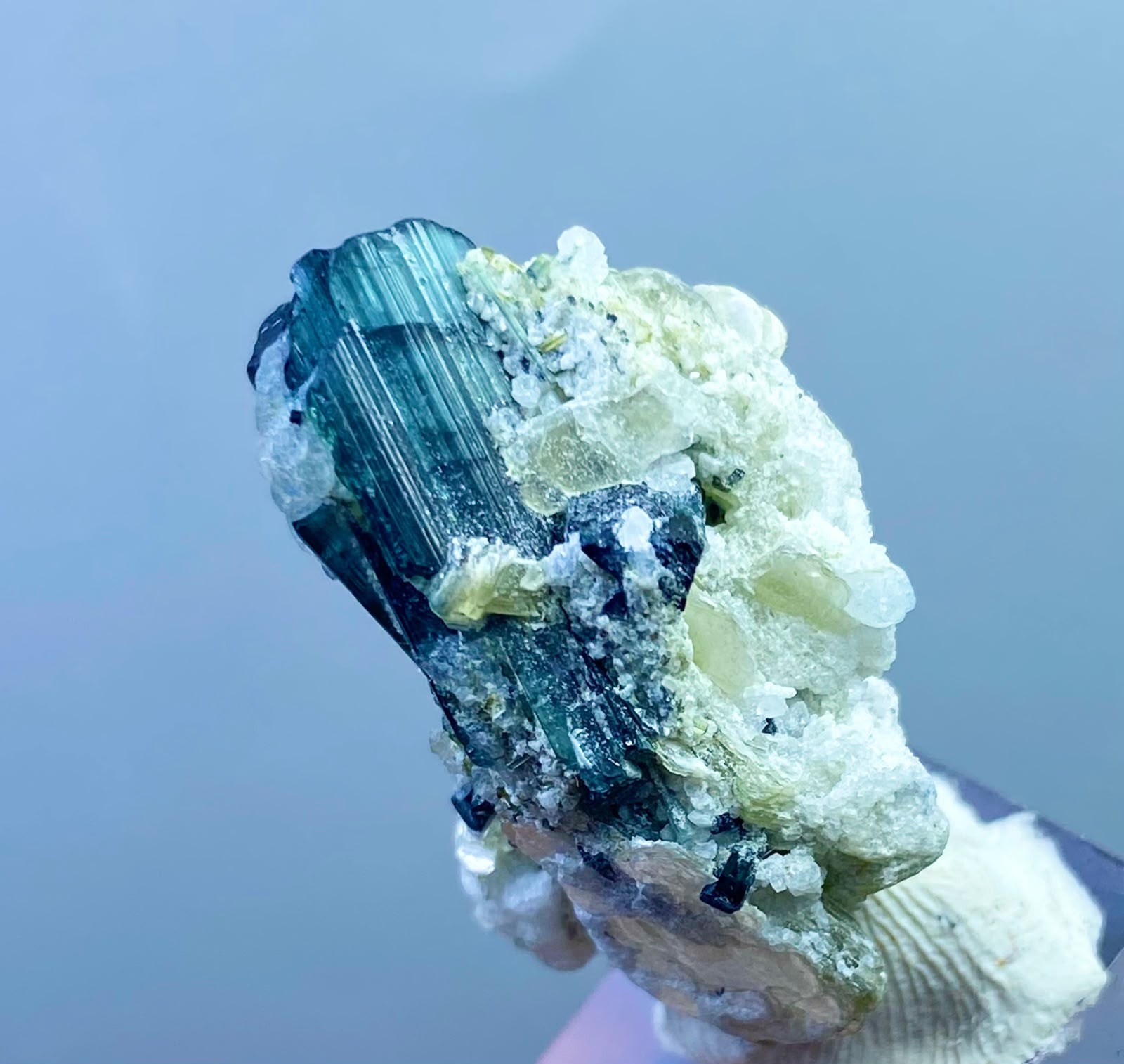  Rare Natural Indicolite Tourmaline Crystal Specimen From Afghanistan 44 Carats
