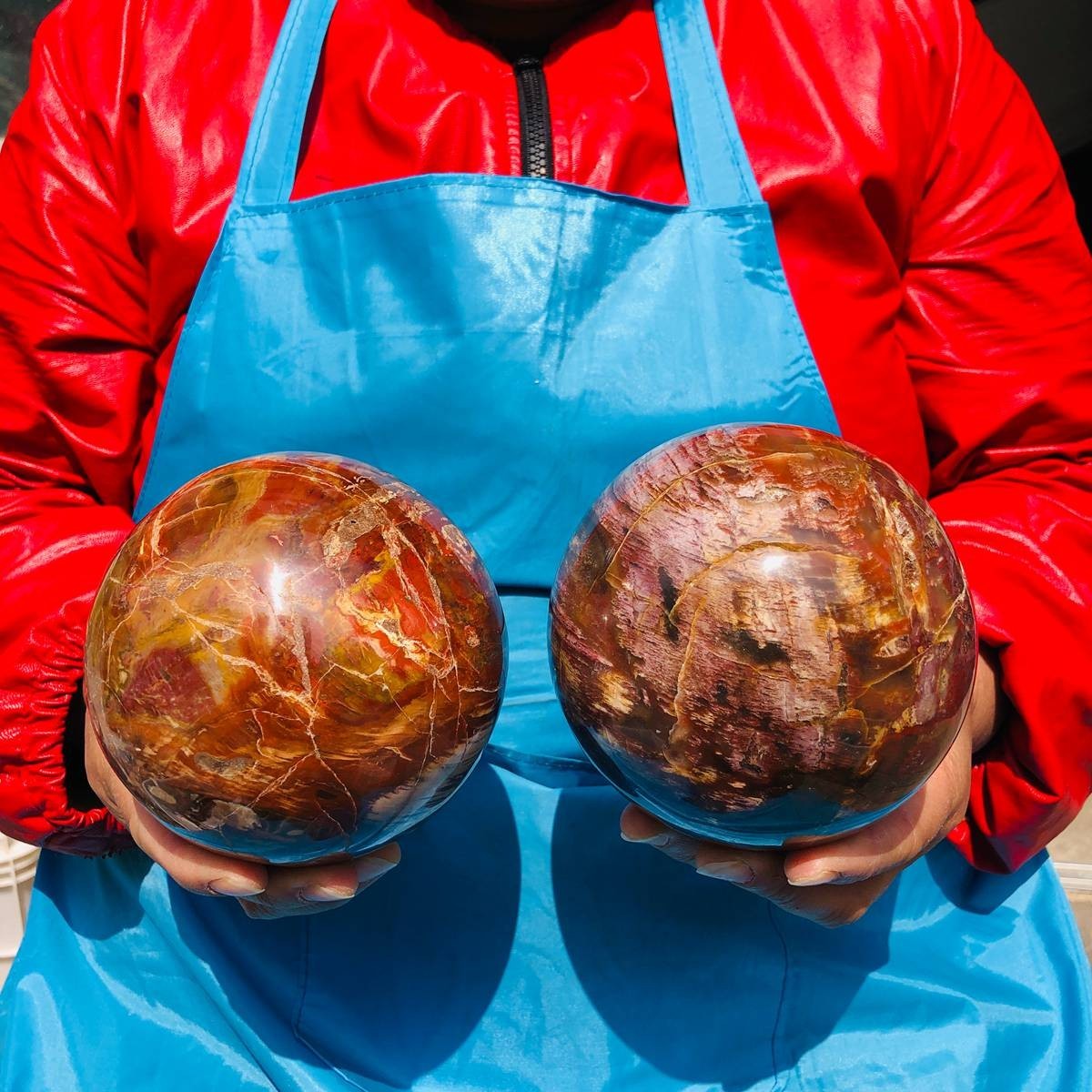 6.82LB 2pcs Natural wood fossil ball healing comes Healing from Madagascar