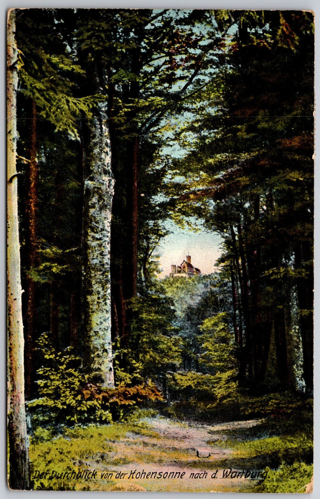 Vintage German Postcard Forest View Toward Wartburg Castle Scenic Art Vintage German Postcard Forest View Toward Wartburg Castle Scenic Art