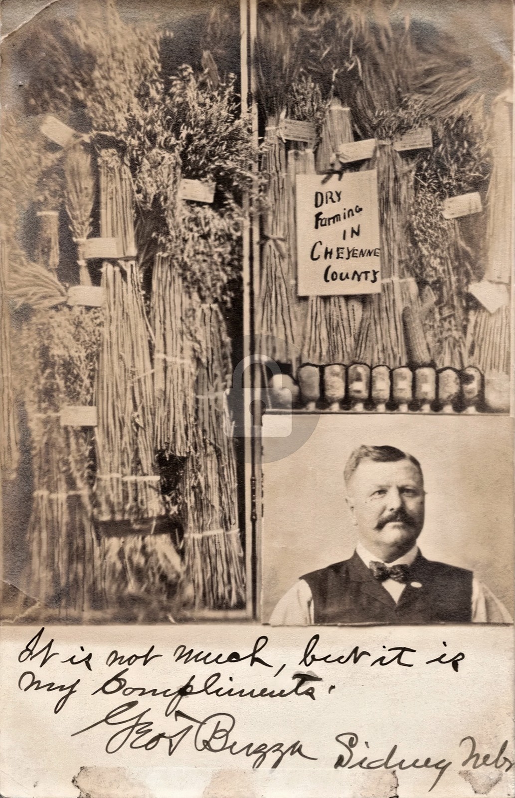 Sidney Nebraska NE American Land Co Sales Pitch On Back RPPC Photo Postcard COPY