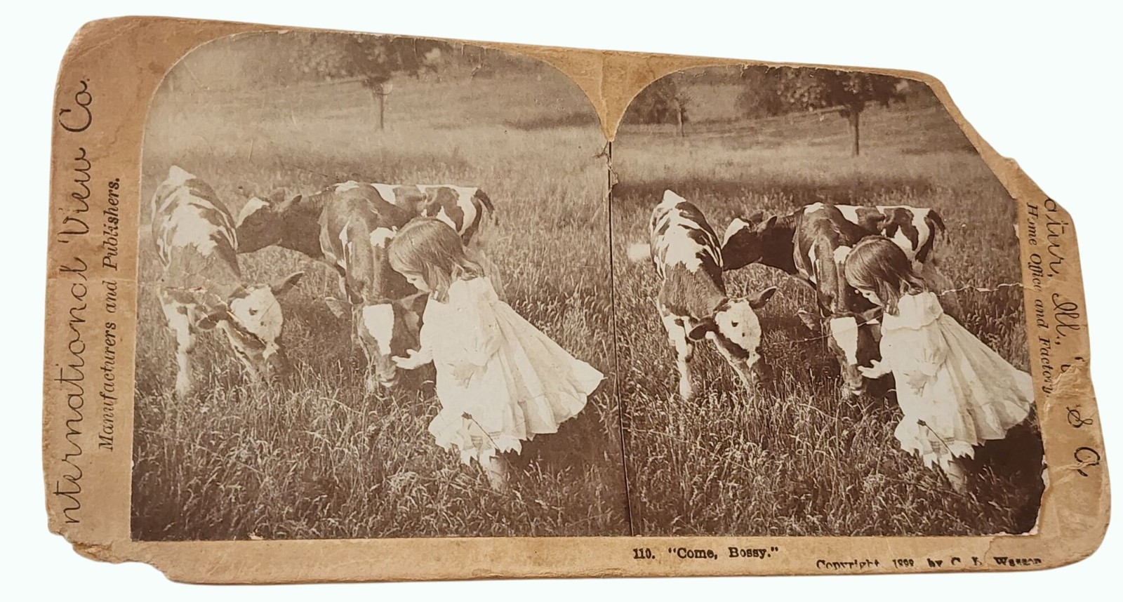 Antique 1899 C.L. Wasson \