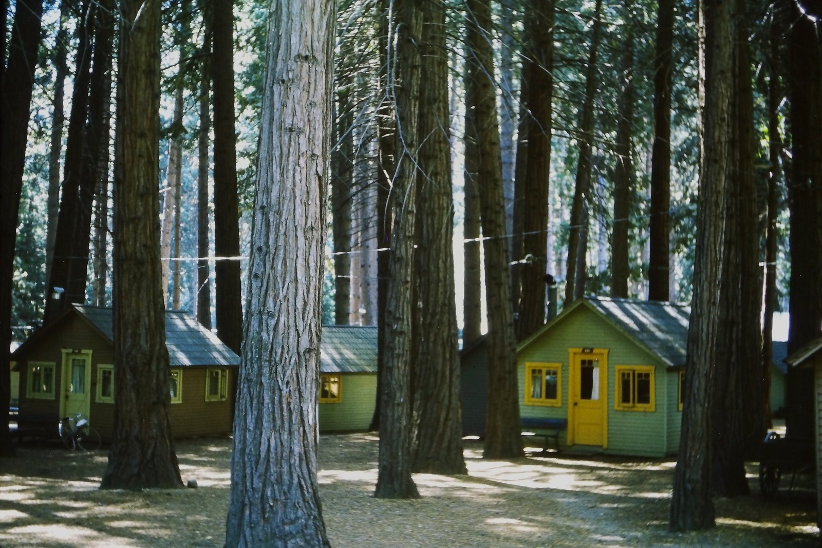 c1960's Kodachrome 35mm Slide, Redwood Forest Cabins, Rustic Vacation Cottages