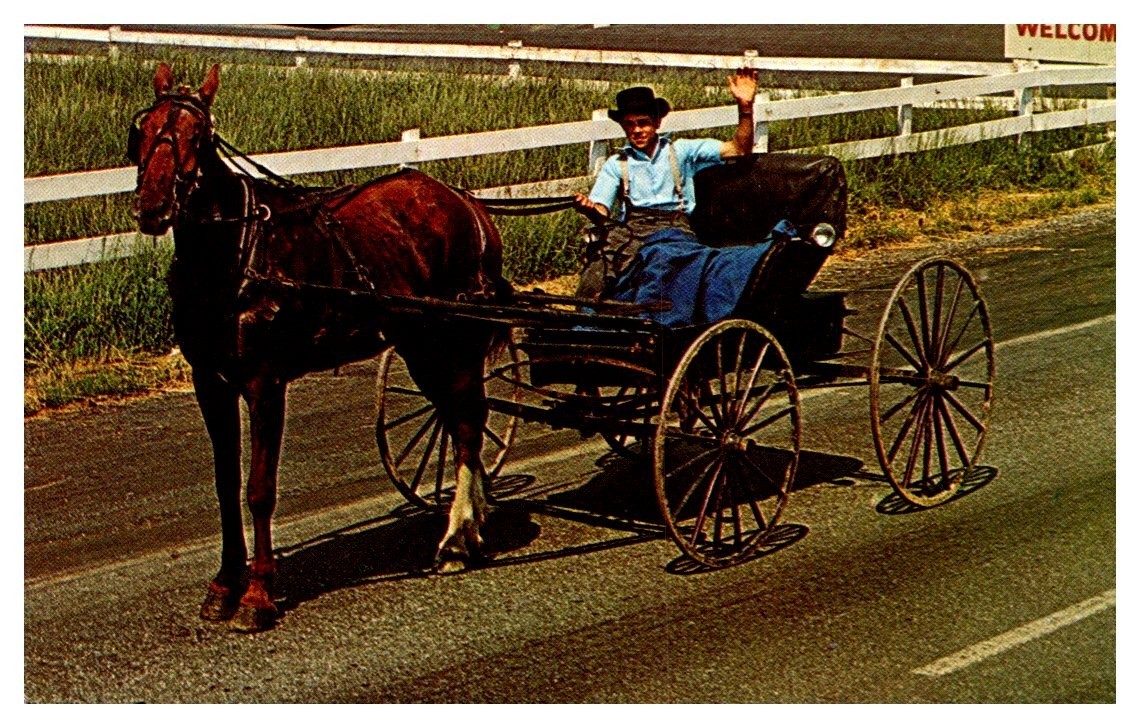1969 Young Man In An Amish Courting Buggy In Pennsylvania Vintage Postcard