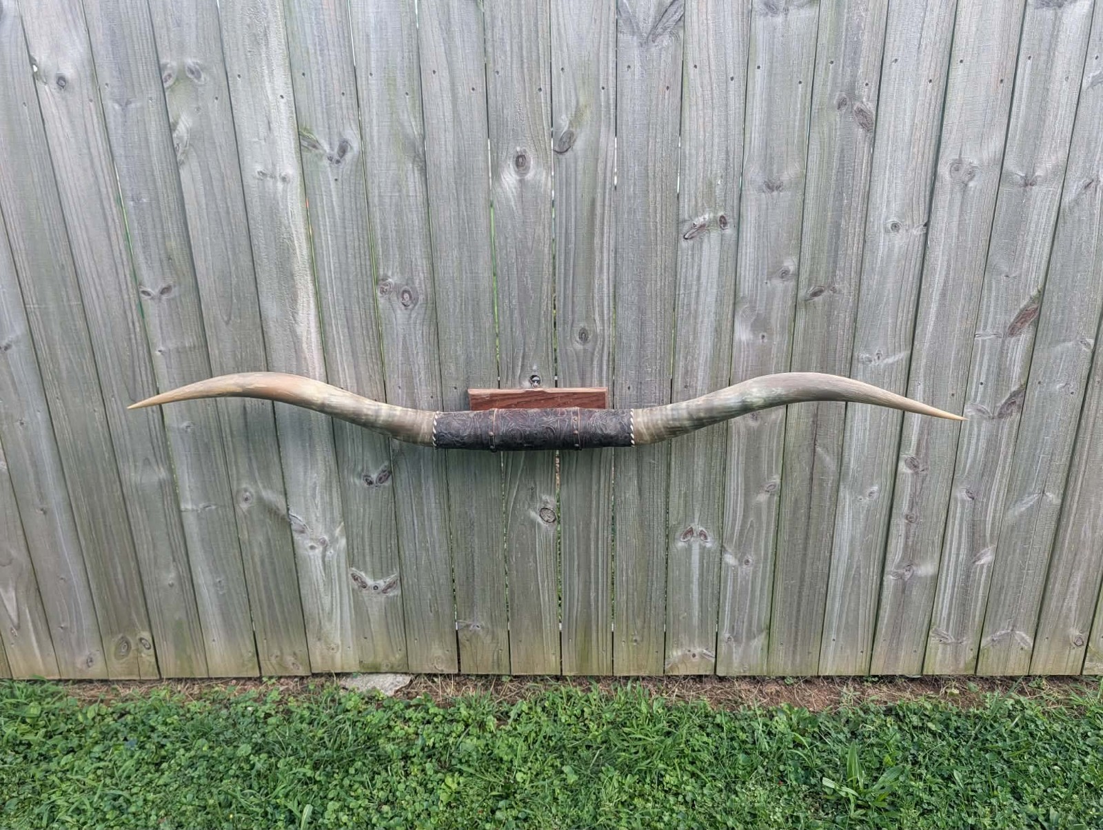 6' Huge 73 1/2