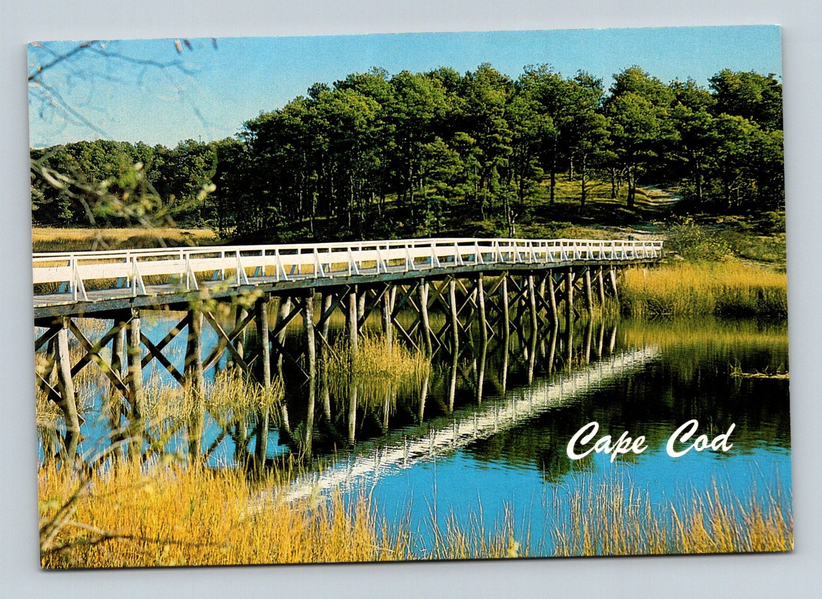 MA Wellfleet Late 1980s / 1990s Uncle Tim\'s Bridge - Postcard