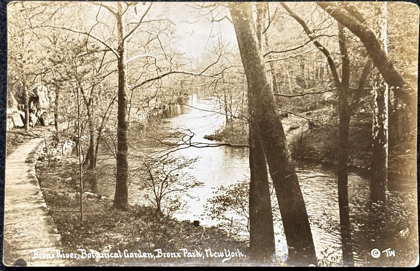 RPPC ca 1910 THADDEUS WILKERSON - BRONX RIVER / BOTANICAL GARDENS NYC - Unposted