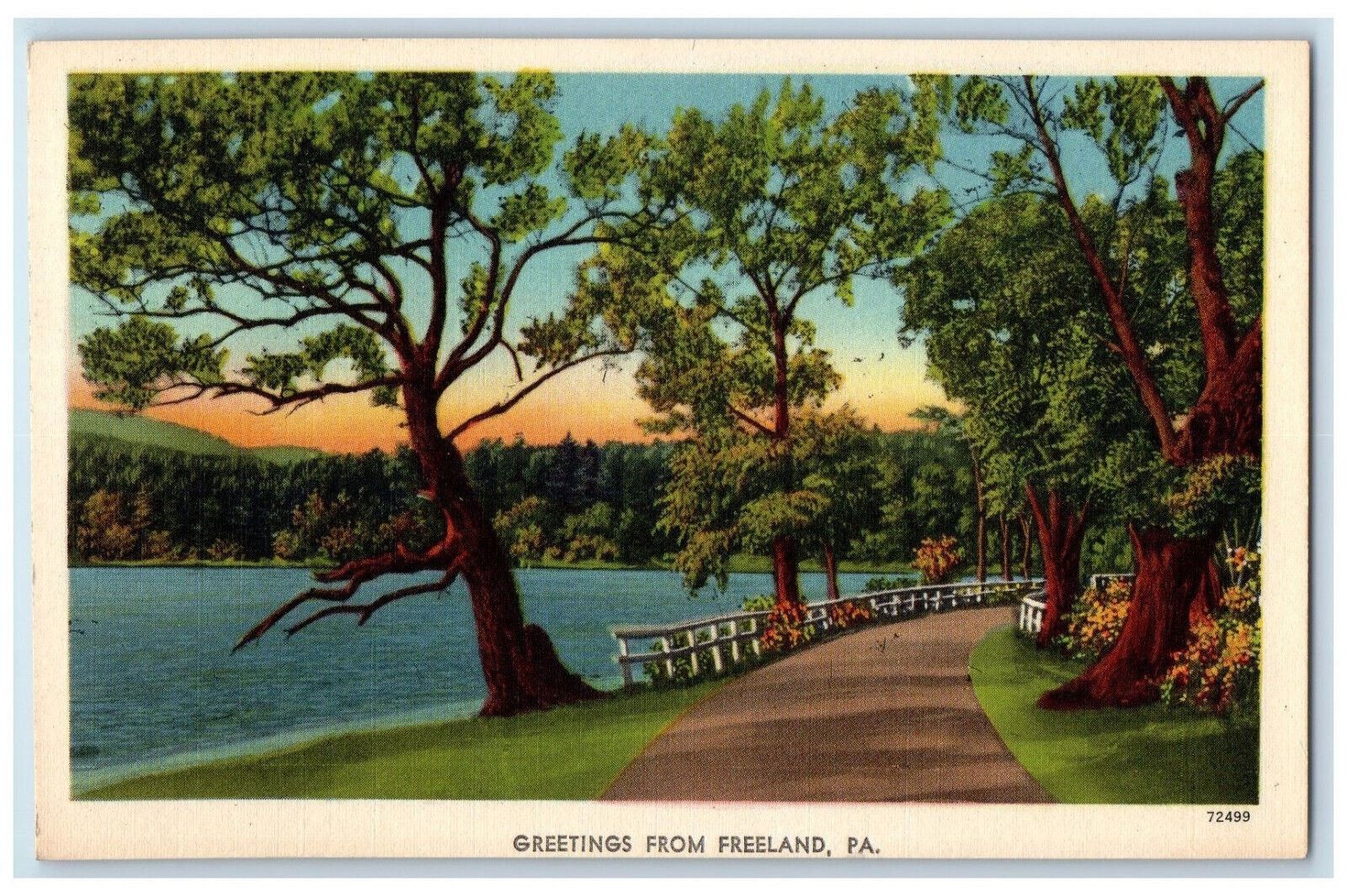 c1940\'s Trees Road River Scene Greetings from Freeland Pennsylvania PA Postcard