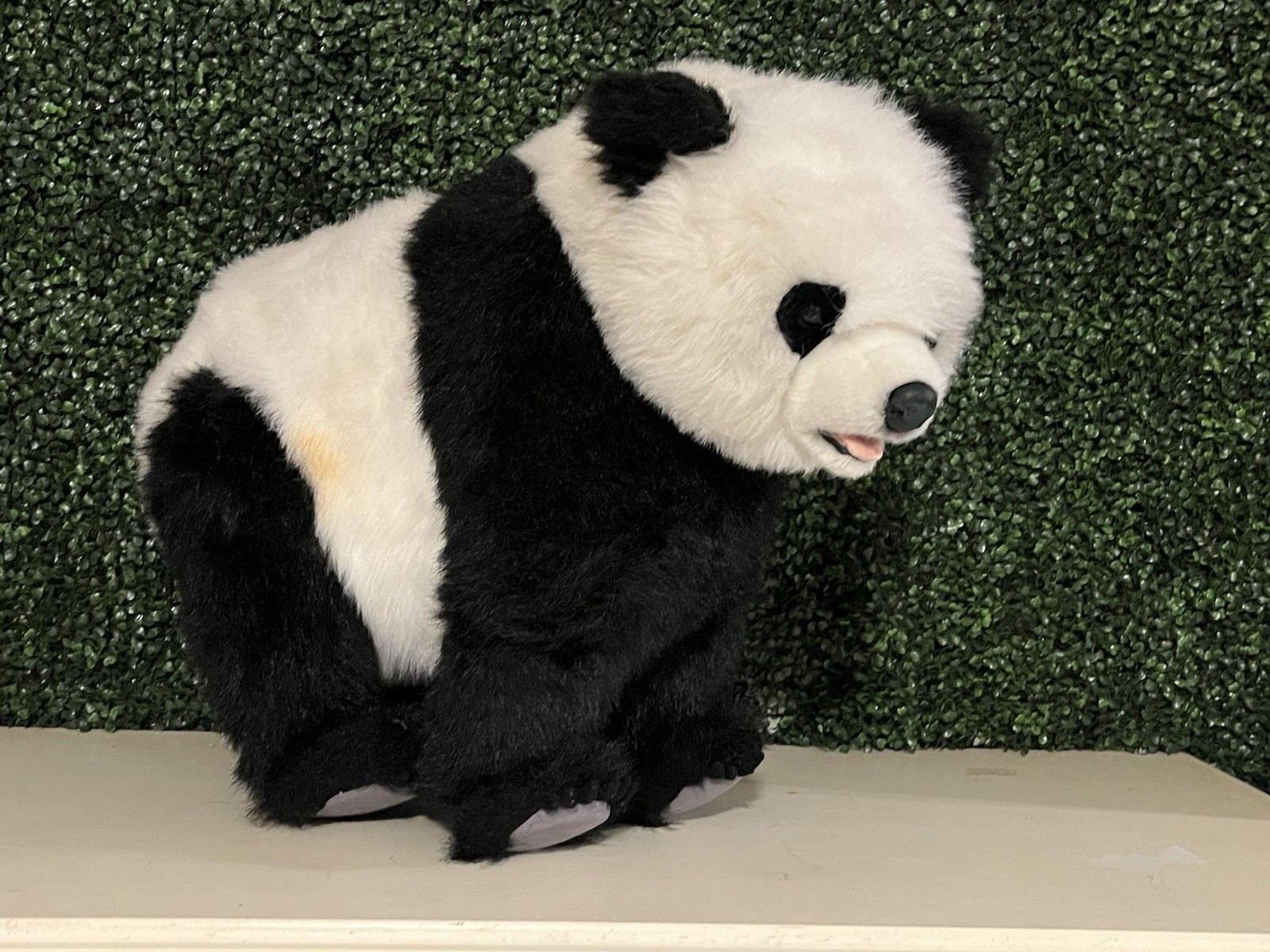 Large Walking/Standing Hansa Panda Bear On All Four Feet 29\'\'L X 24\