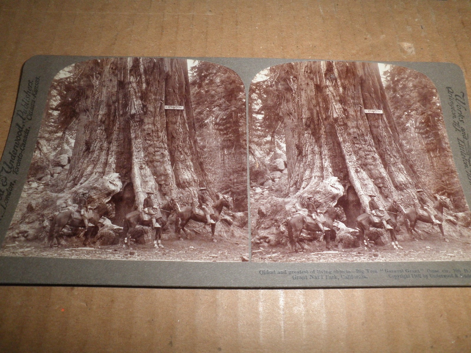 Old original Soldiers at General Grant Tree, General Grant N.P. Stereoview