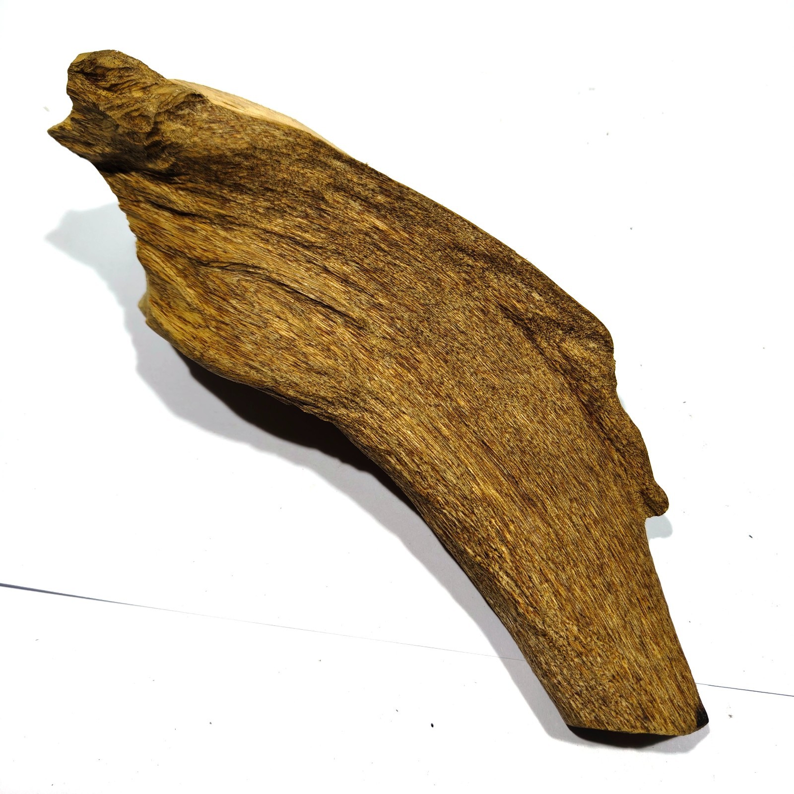 165 gr 1 pcs Aquilaria malacensis agarwood aromatherapy Ornament from Kalimantan