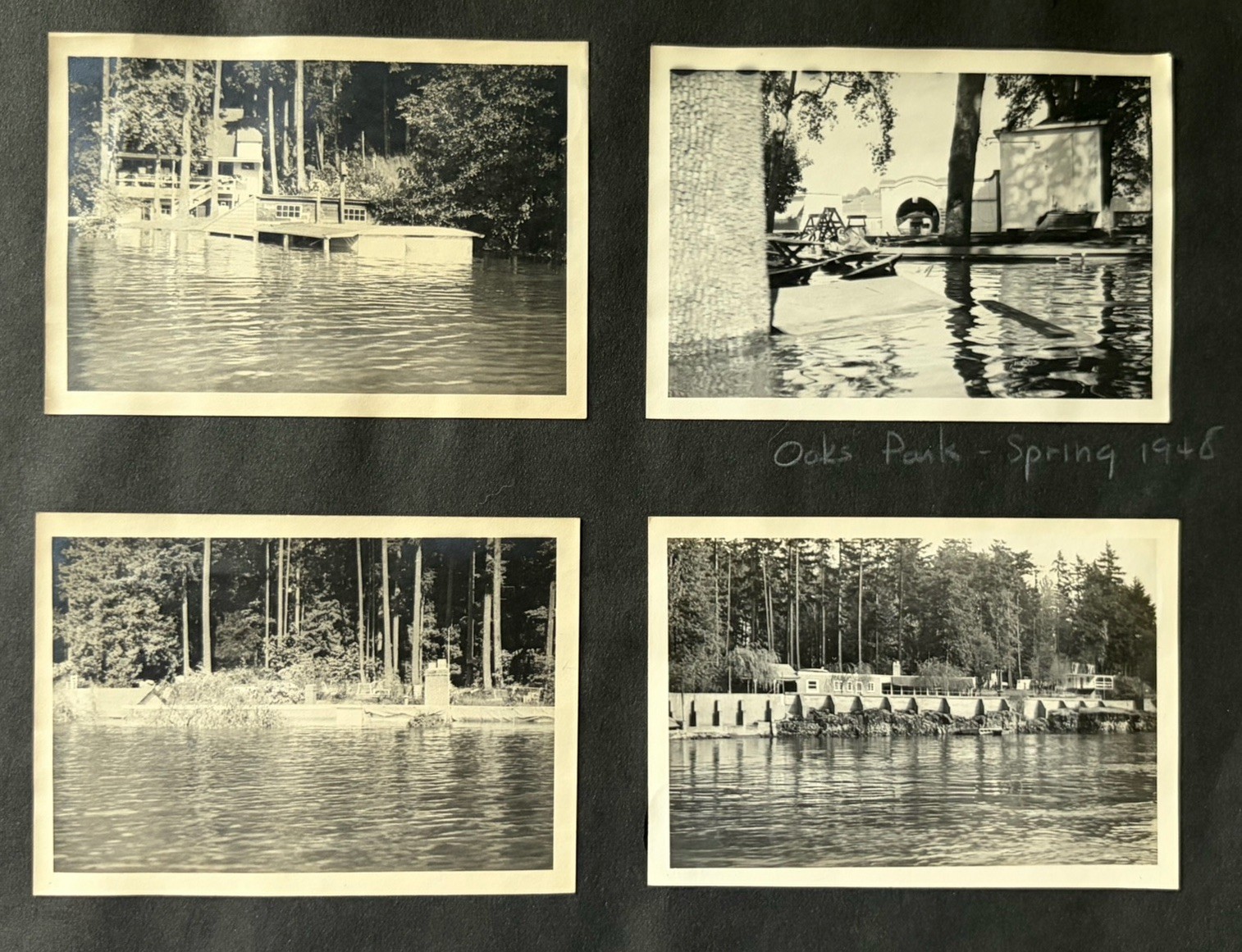 8 Historic 1948  Flooding Oaks Park Portland, Or Willamette River Album Page
