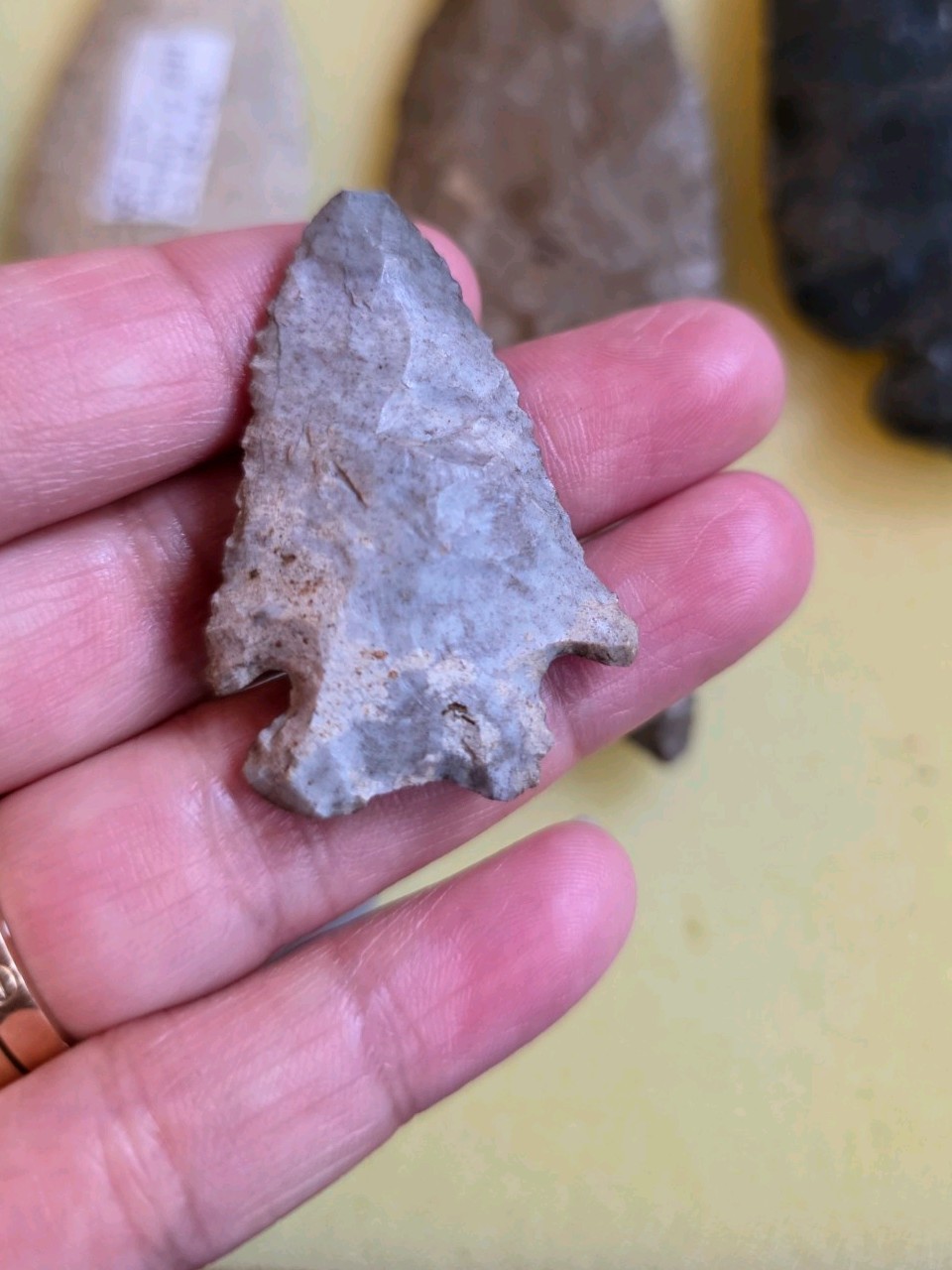 KIRK CORNER NOTCH/PINETREE ARROWHEAD