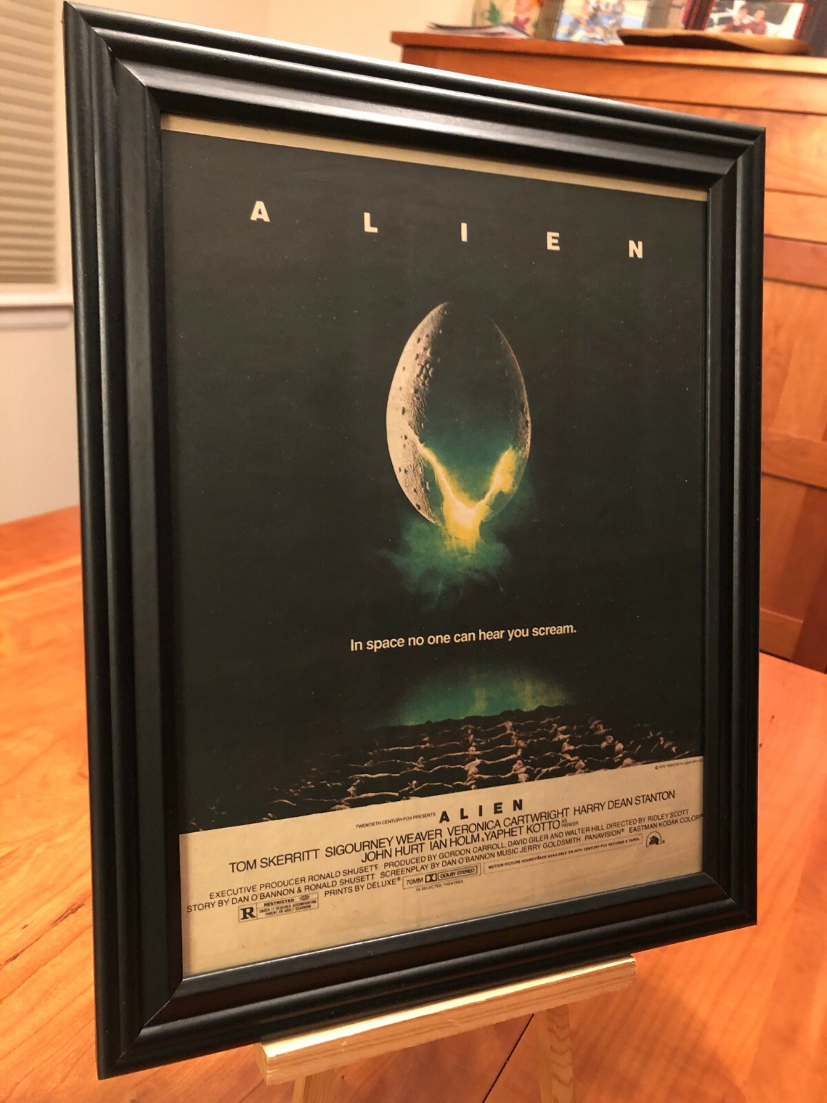 BIG 10x13 FRAMED \