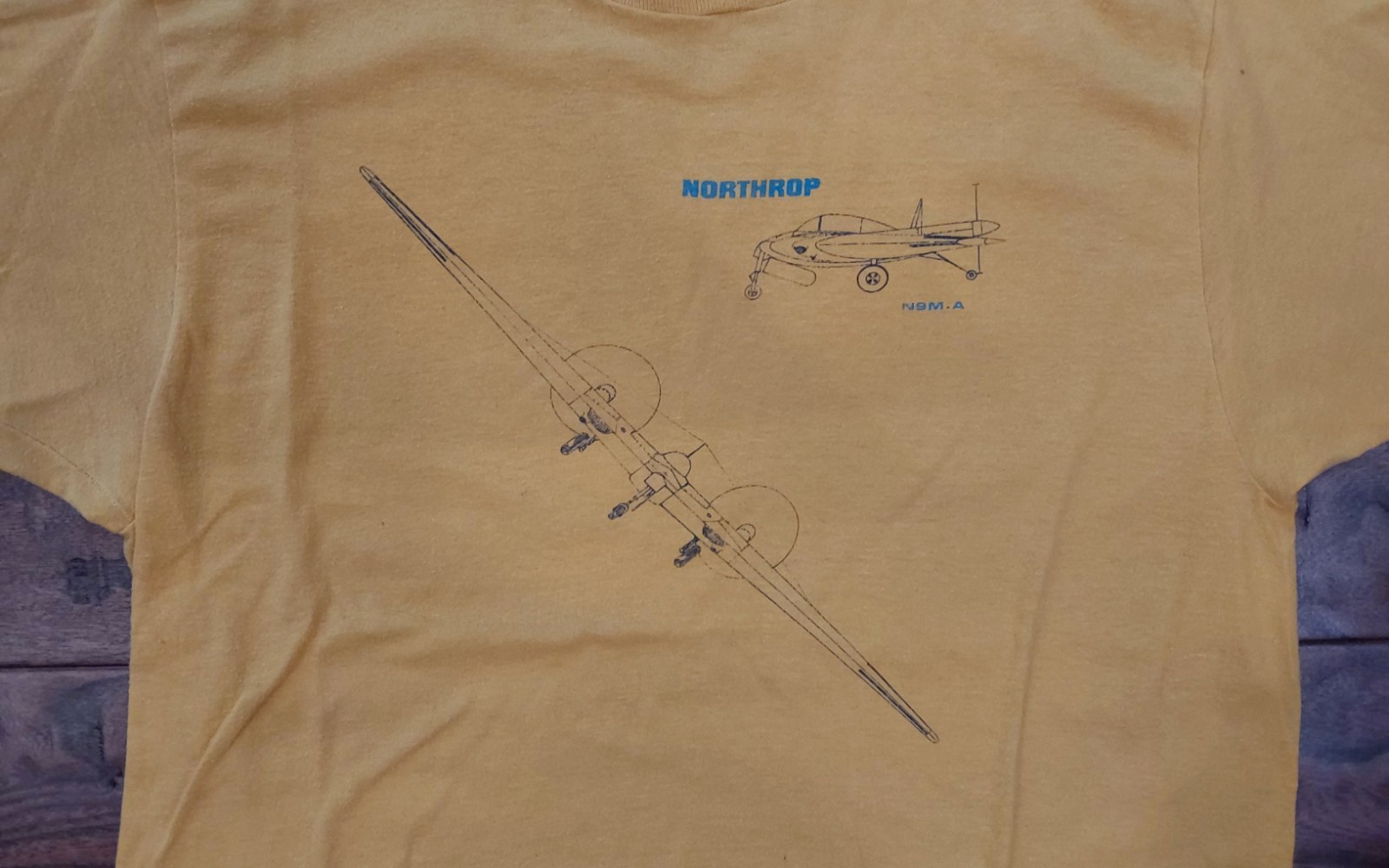 Northrop vintage early flying wing