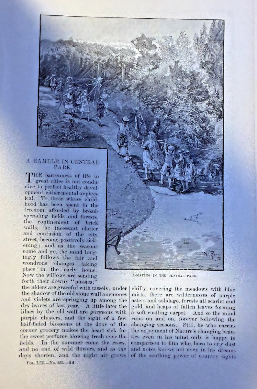 1879 Central Park New York City Cave Swans Goat Carriage Elephants illustrated