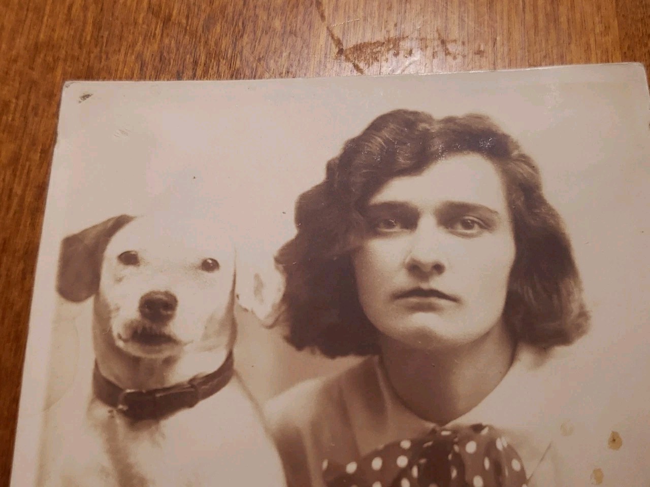 Vintage 1930s RPPC Postcard Girl Scout Uniform GS Monogram Pin & Fox Terrier Dog