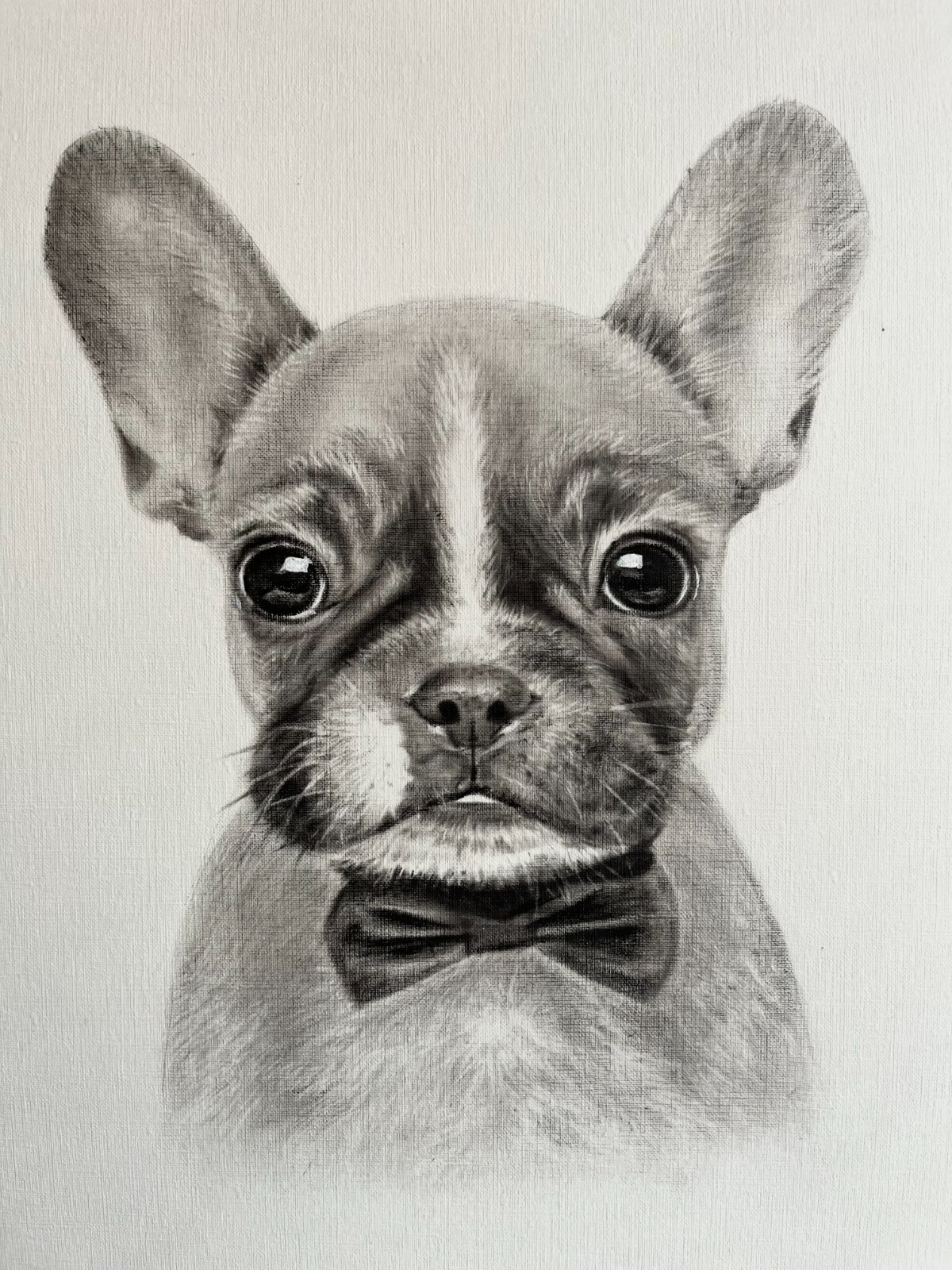 Portrait of a French Bulldog dog. Handmade 12x16 in