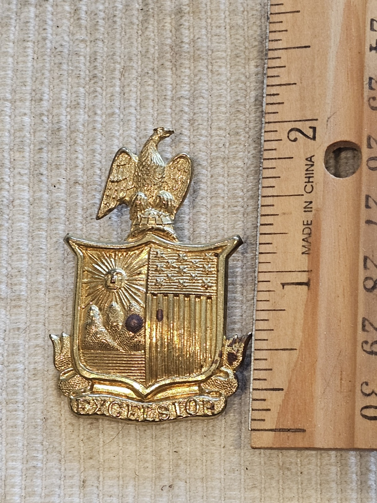 1874 US Army Indian Wars New York National Guard Infantry Regiment Badge L@@K
