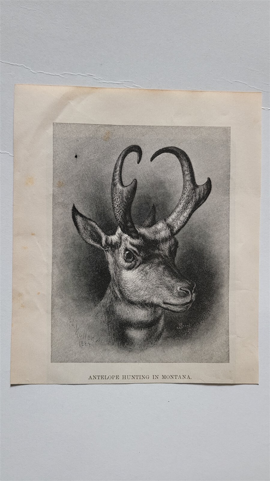 Antelope Hunting in Montana 1884 HW Sketch Print Antelope Hunting in Montana 1884 HW Sketch Print