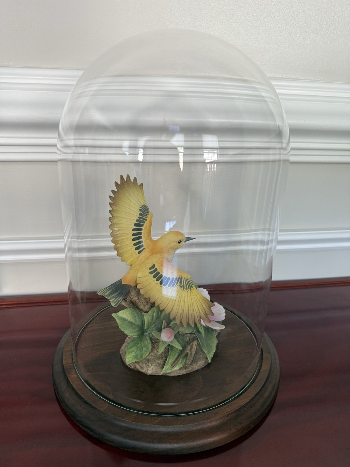 VTG 1988 Hand Blown Glass Cloche Display Dome 12\