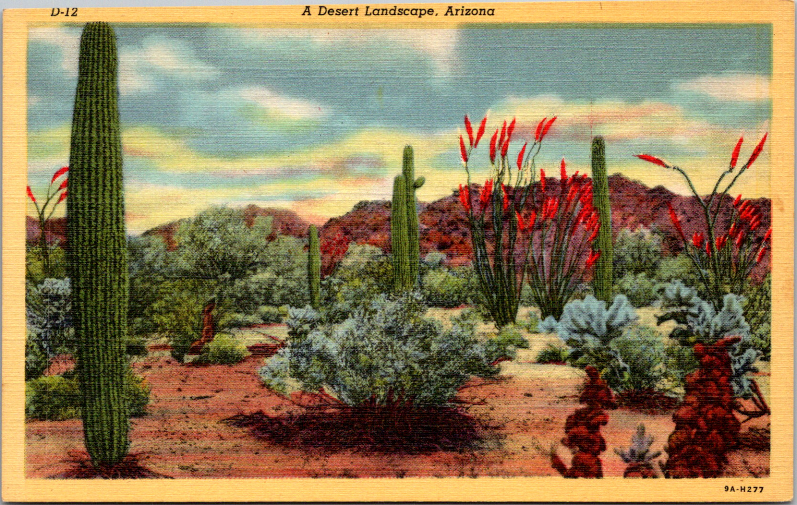 Arizona- Beautiful Desert Landscape of Cactus Flowers Vintage C. 1940s Postcard