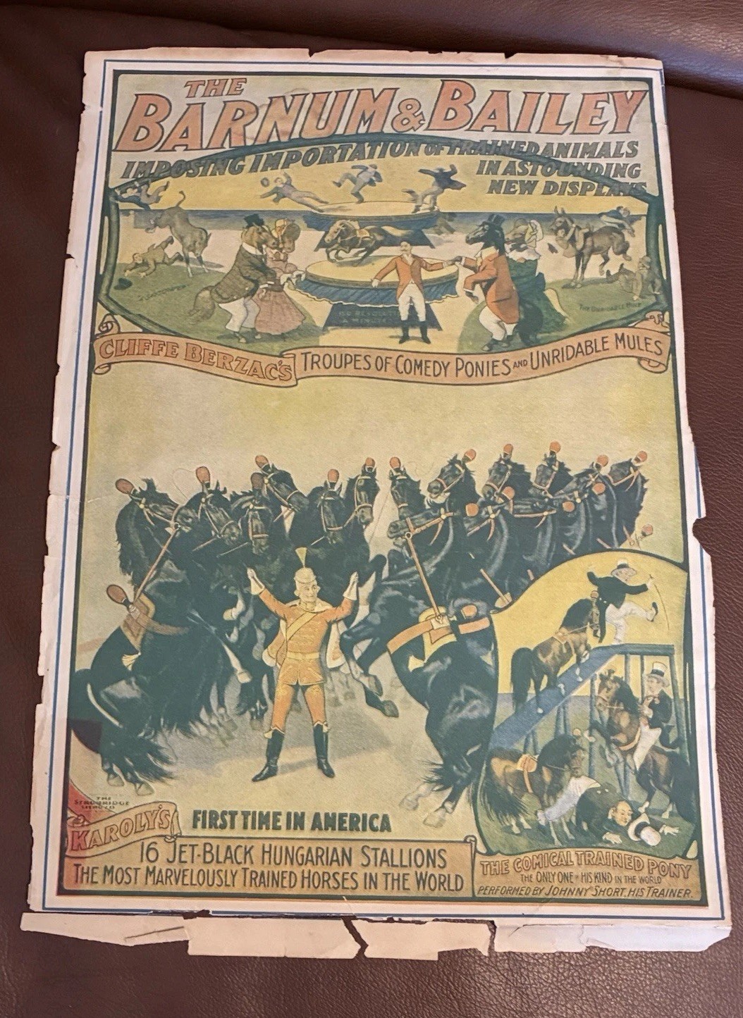 RARE Antique c1899-1901 Barnum & Bailey Circus Litho STROBRIDGE Karoly Stallions