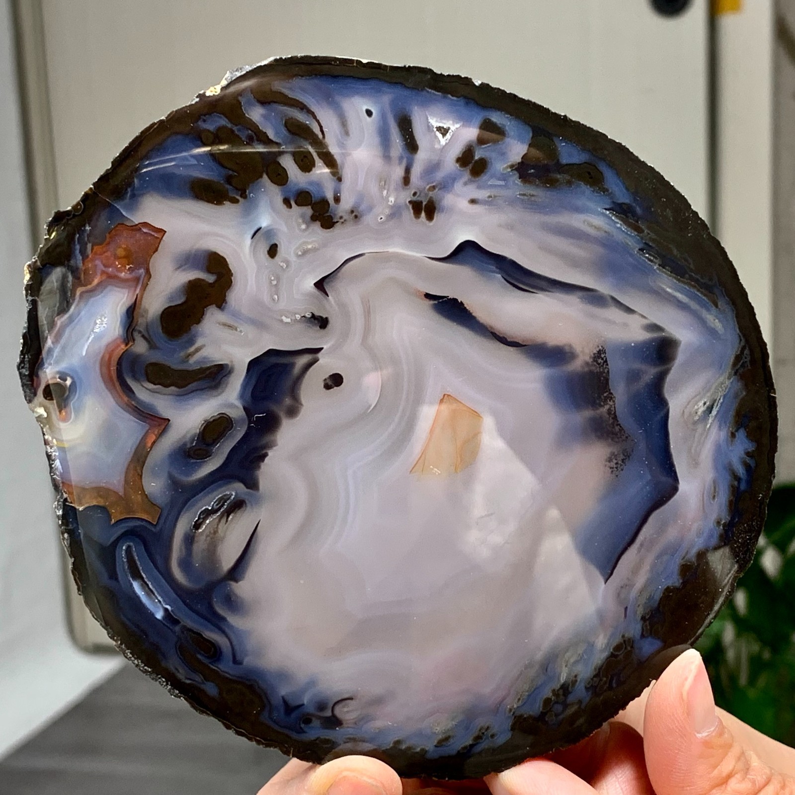 179G Natural Beautiful Agate Geode Druzy Slice ExtraLarge Gemstone