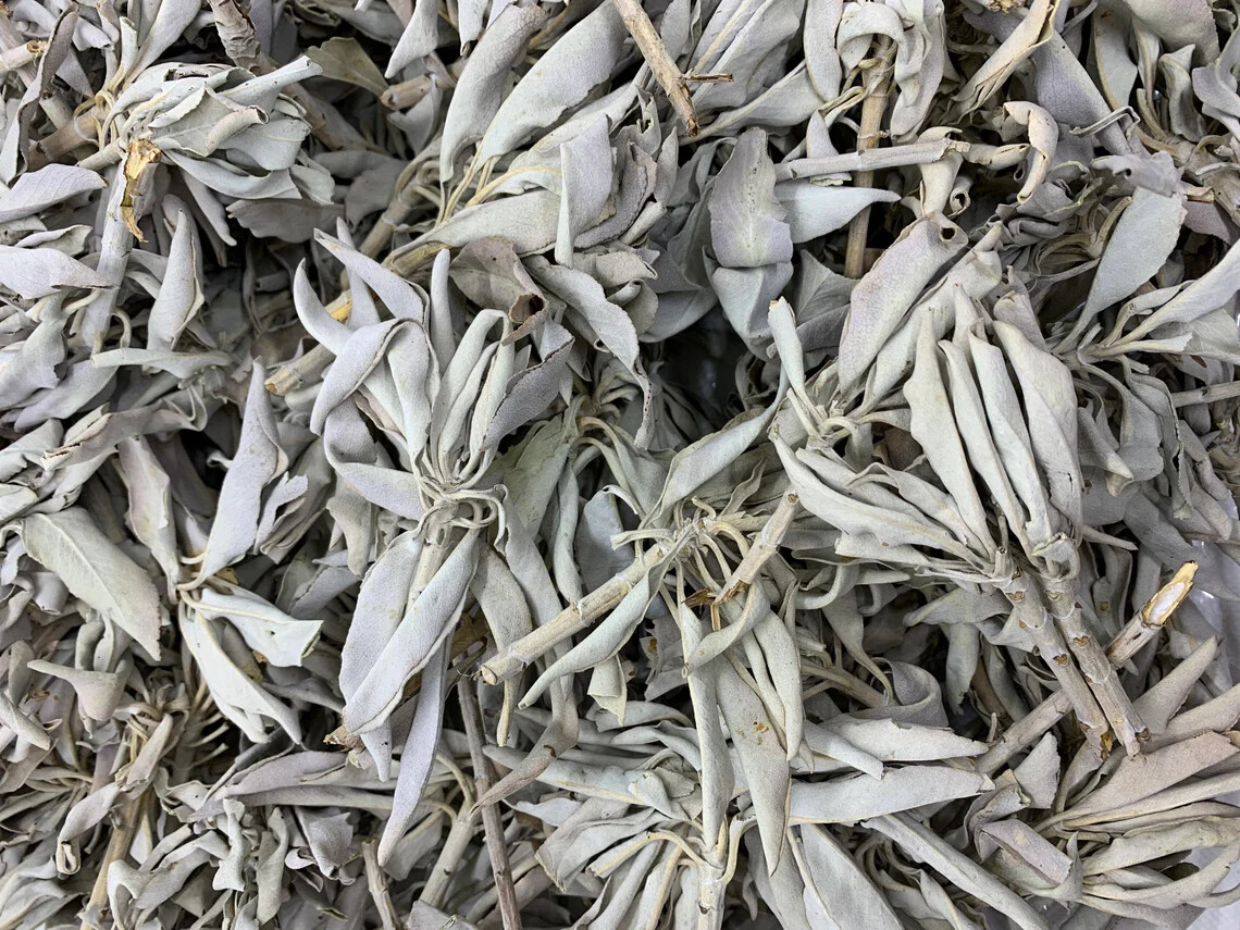 California White Sage Loose Cluster Bulk Lot (1 pound) 