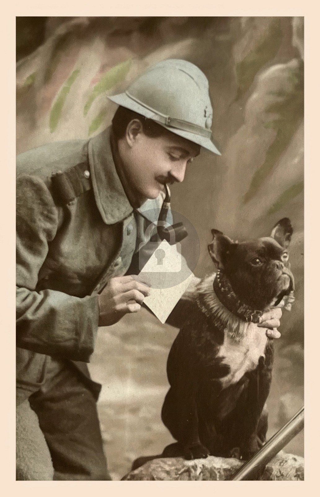 WW 1 FRENCH BULLDOG Army Service Dog 1916 RPPC Photo Postcard COPY