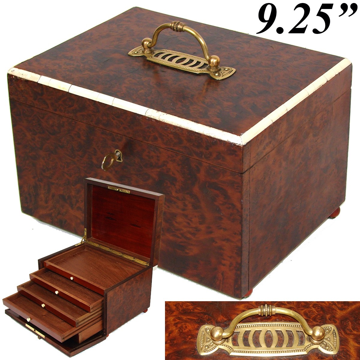 Antique Victorian Era Burled Walnut Cigar Presenter or Specimen Box, Chest