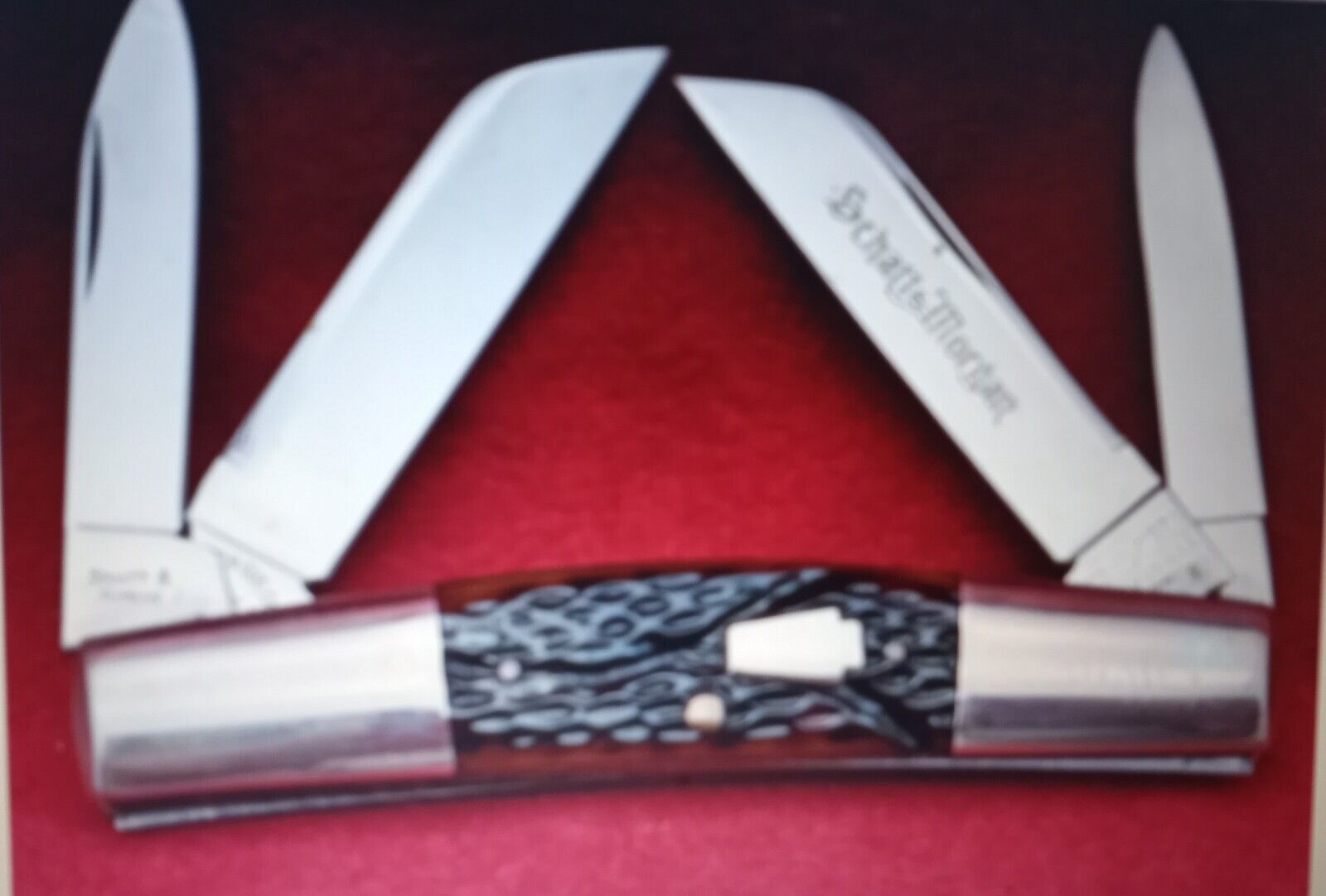 2005 NKCA Knife Schatt & Morgan Queen Cutlery LARGE CONGRESS 1 of 680 MINT NR
