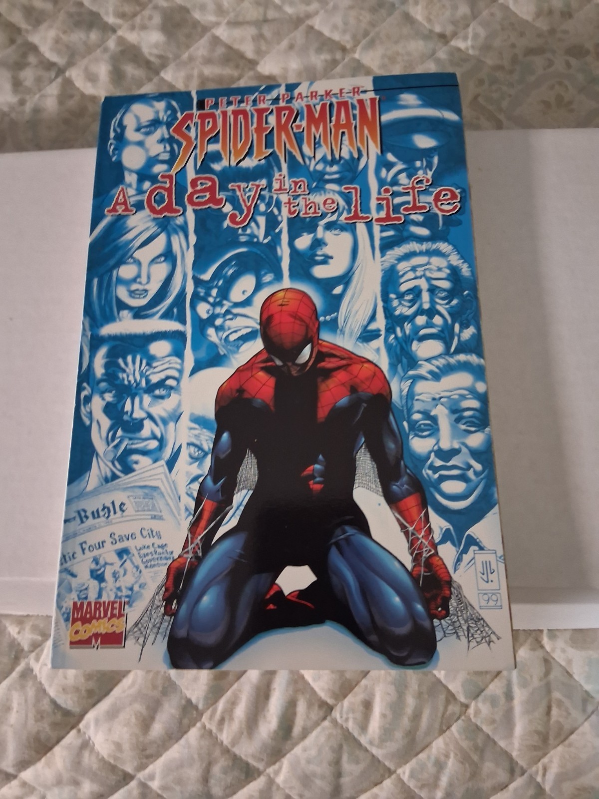 SPIDER-MAN : A DAY IN THE LIFE Marvel Softback Graphic Novel Book (2001)  (GT)