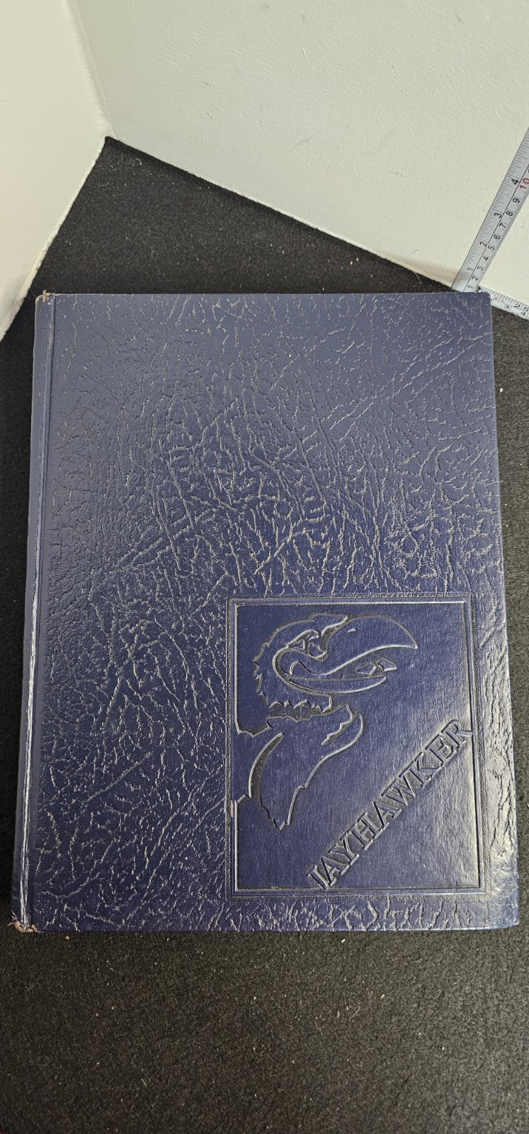 University of Kansas 1981 Jayhawker Yearbook Sports History Lots Of Photographs