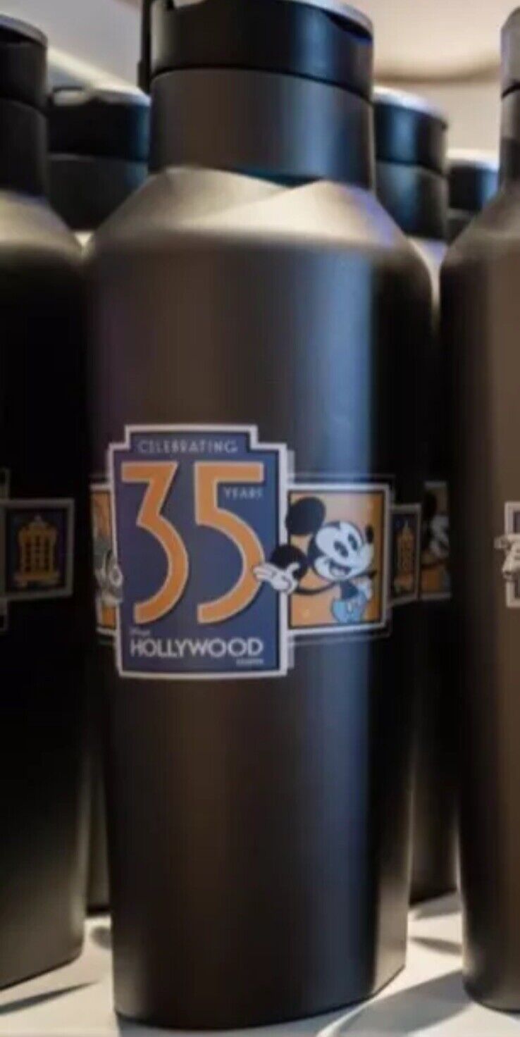 Disney Parks Hollywood Studios 35th Anniversary 24oz Metal Corkcircle NEW