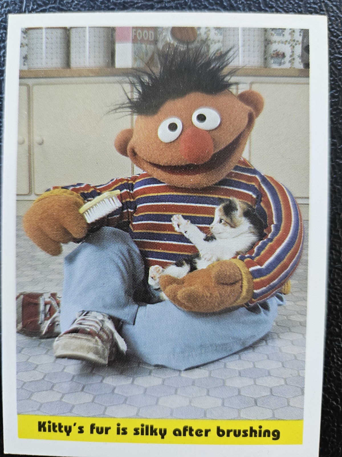 B22s Sesame Street 1992 CTW #70 Ernie Grooming Kitty Brushing