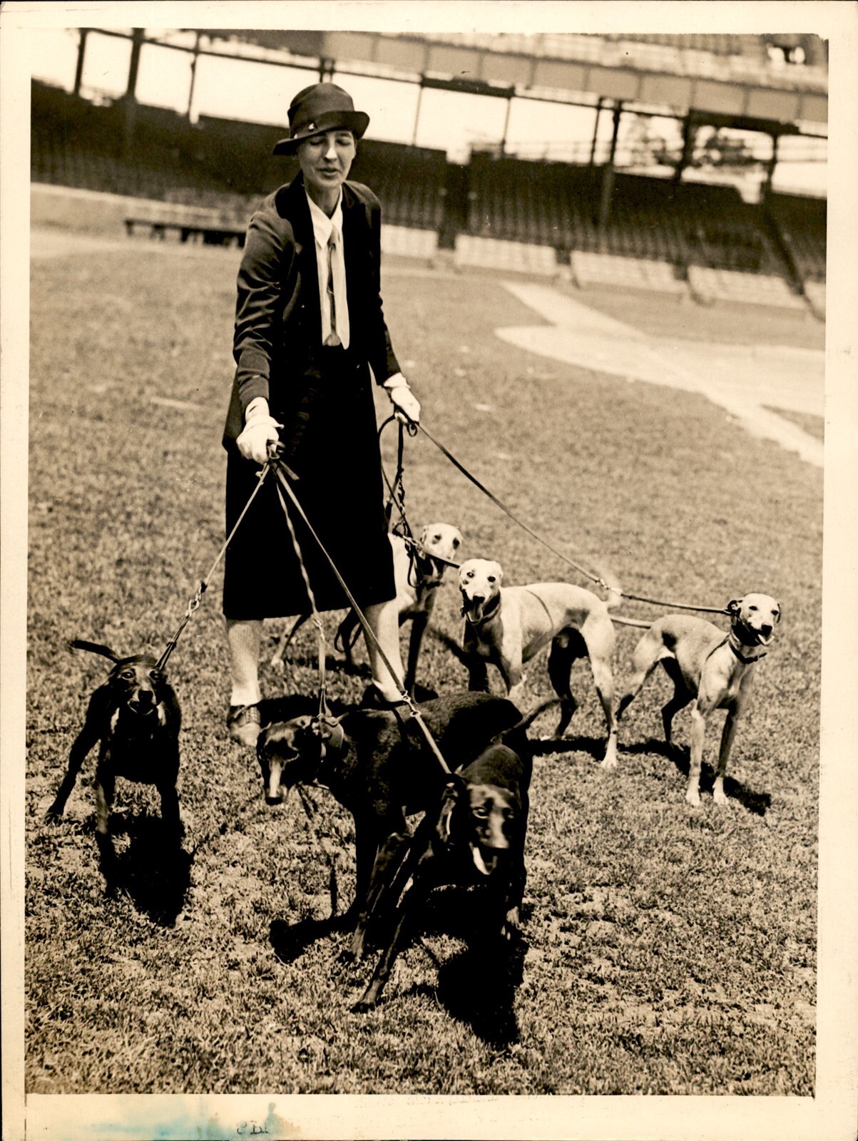 GA222 1927 Original Underwood Photo DOROTHY GREENE DOGS ARRIVE FOR WHIPPET DERBY GA222 1927 Original Underwood Photo DOROTHY GREENE DOGS ARRIVE FOR WHIPPET DERBY
