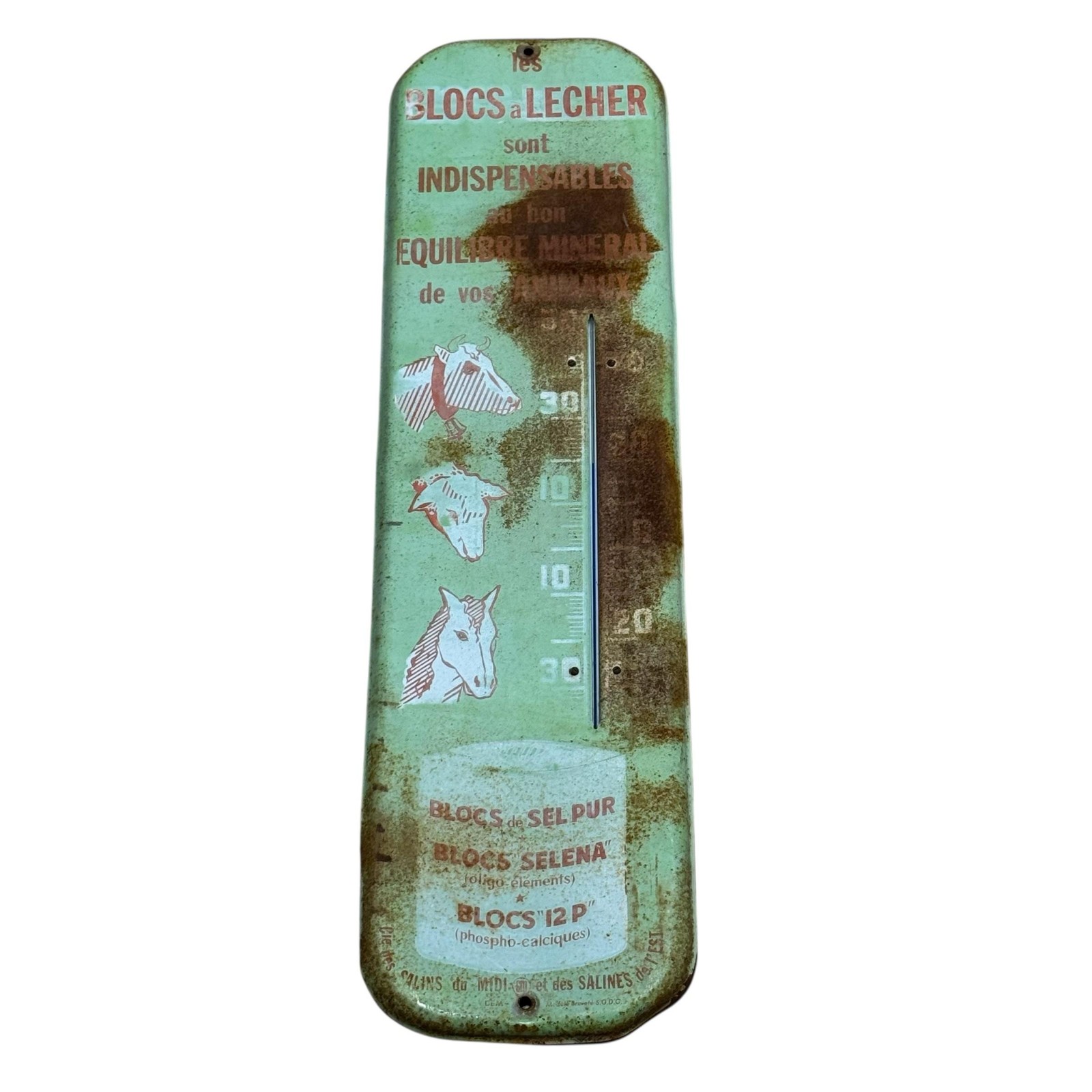 Vintage Salins Du Midi Blocs A Lecher French Thermometer Sign 7.25x27.25 Green