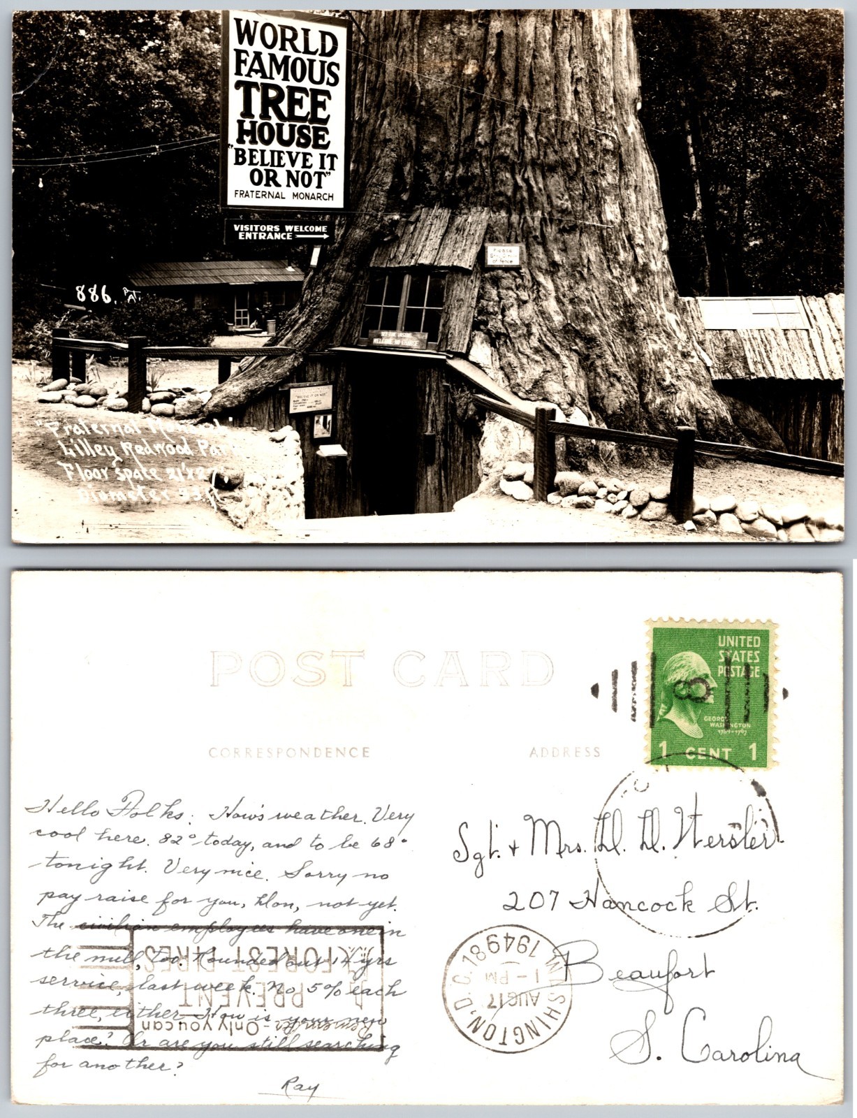 RPPC World Famous Tree House Leggett CA Photo Postcard
