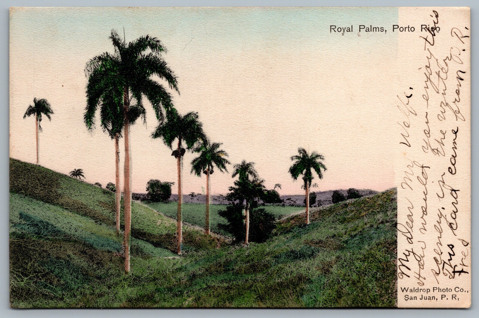 Postcard Puero Rico c1907 Royal Palms Scenic Hand Tinted RMS RPO Cancel Train 4 